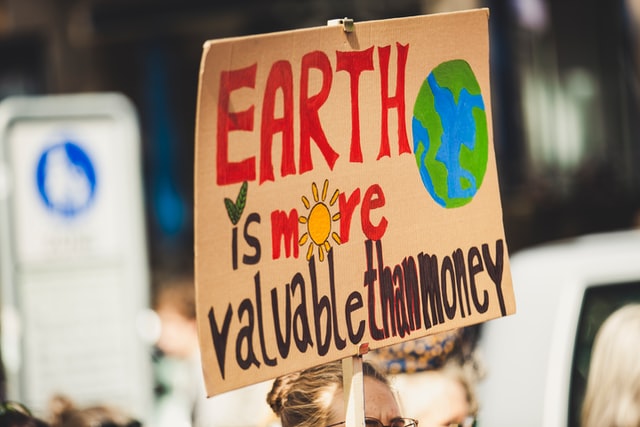Read more about the article Fridays for Future